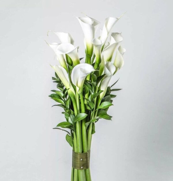 Eleganter Calla-Lilienstrauß